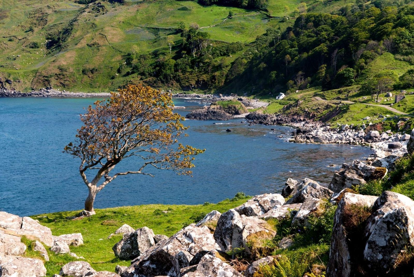 Causeway Coastal Route