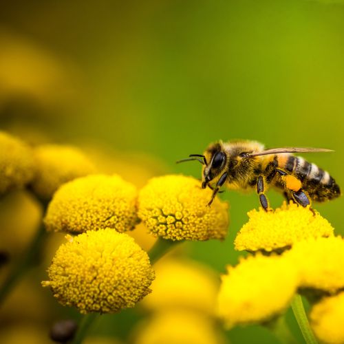 AdobeStock_284303732